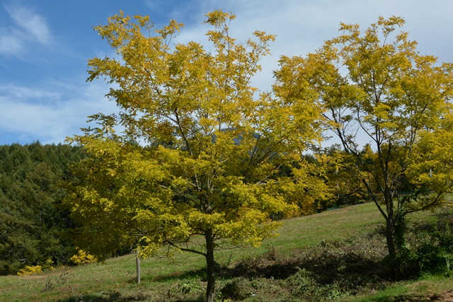 f0046614_1514915.jpg