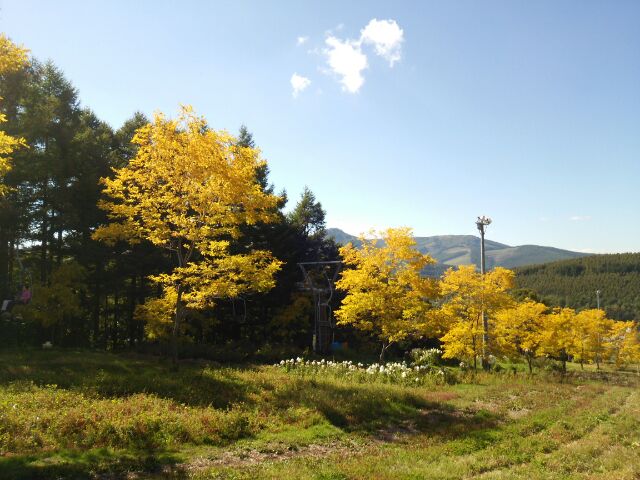 f0046614_152373.jpg