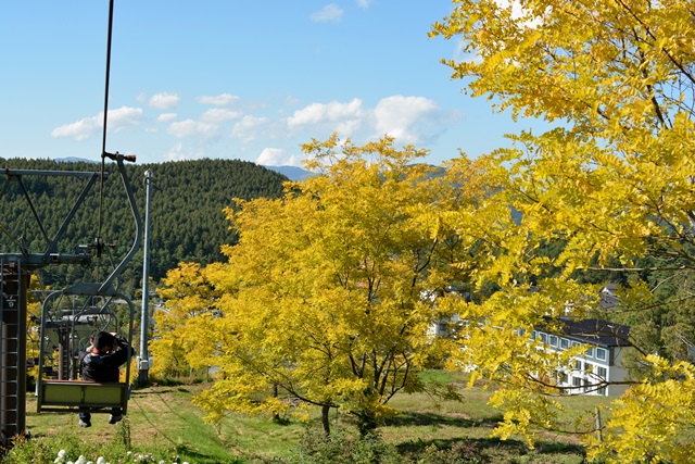 f0046614_1581939.jpg