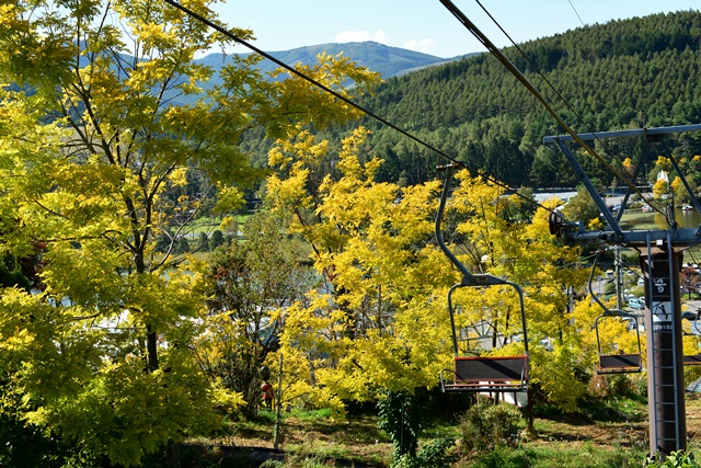 f0046614_1585145.jpg