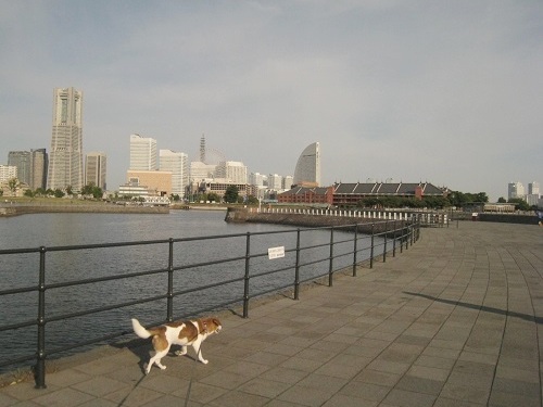 c0084117_21294751.jpg