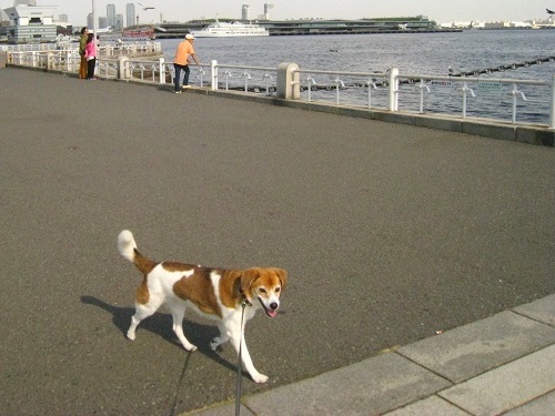 c0084117_22125164.jpg