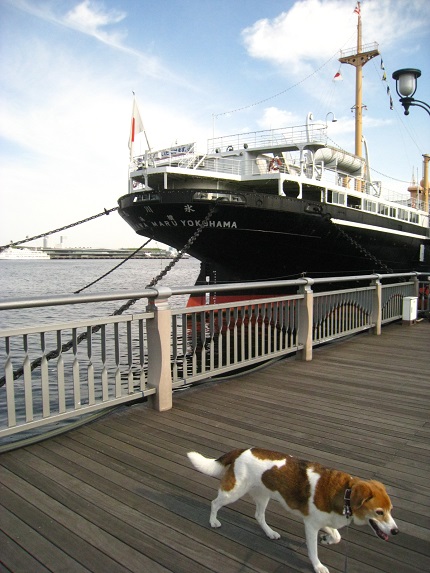c0084117_2213740.jpg