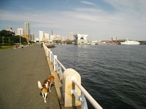 c0084117_22262751.jpg