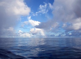 a0043520_4534956.jpg
