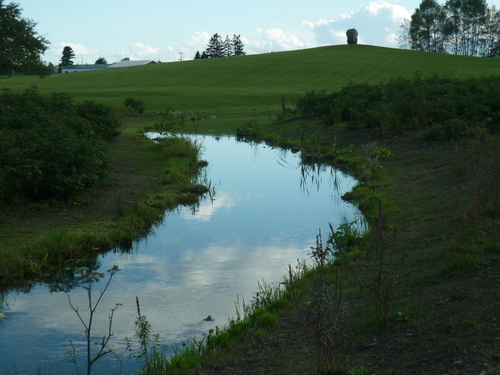 d0010720_13104299.jpg