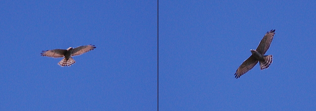 f0248120_20363888.jpg