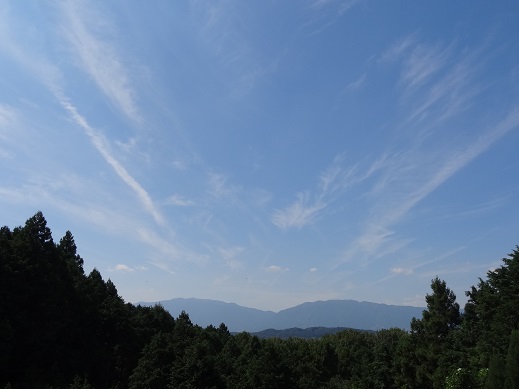 f0000521_06022853.jpg