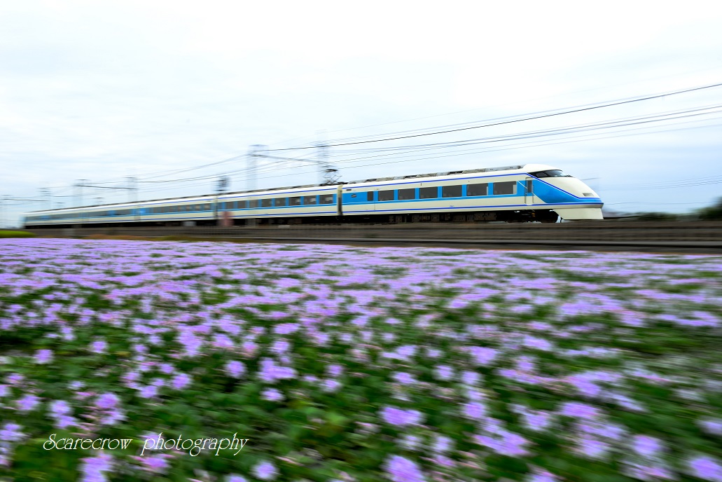 a0255123_23461236.jpg