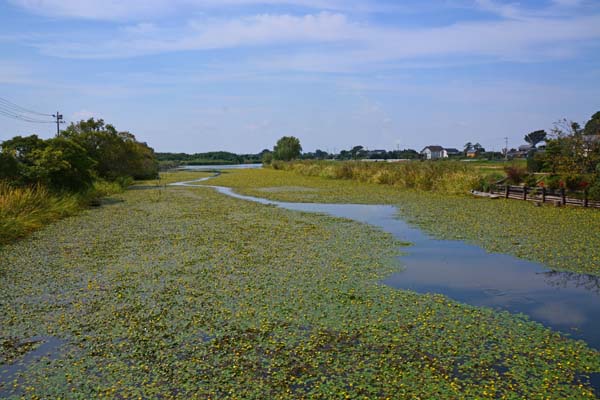f0147025_19093542.jpg