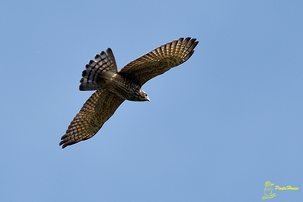 b0208227_755375.jpg