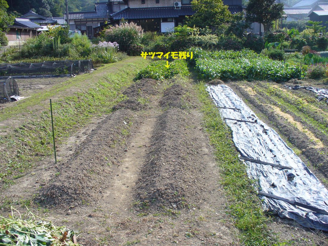 f0346527_22115689.jpg