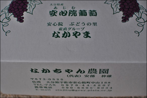 e0185328_8574994.jpg