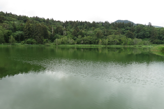 f0017530_21422125.jpg