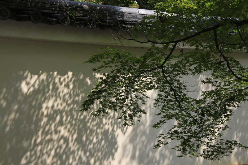 b0042837_6474663.jpg