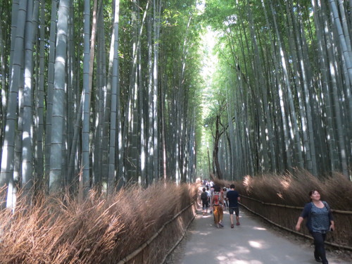 e0259738_920719.jpg