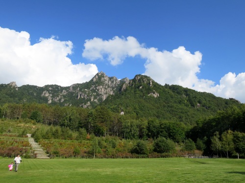 b0178339_16504176.jpg
