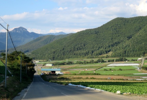 b0178339_17082596.jpg