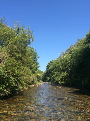 f0219441_1643373.jpg
