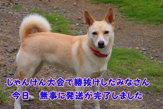 f0195543_20563760.jpg