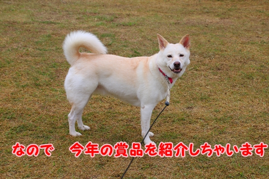 f0195543_20571623.jpg