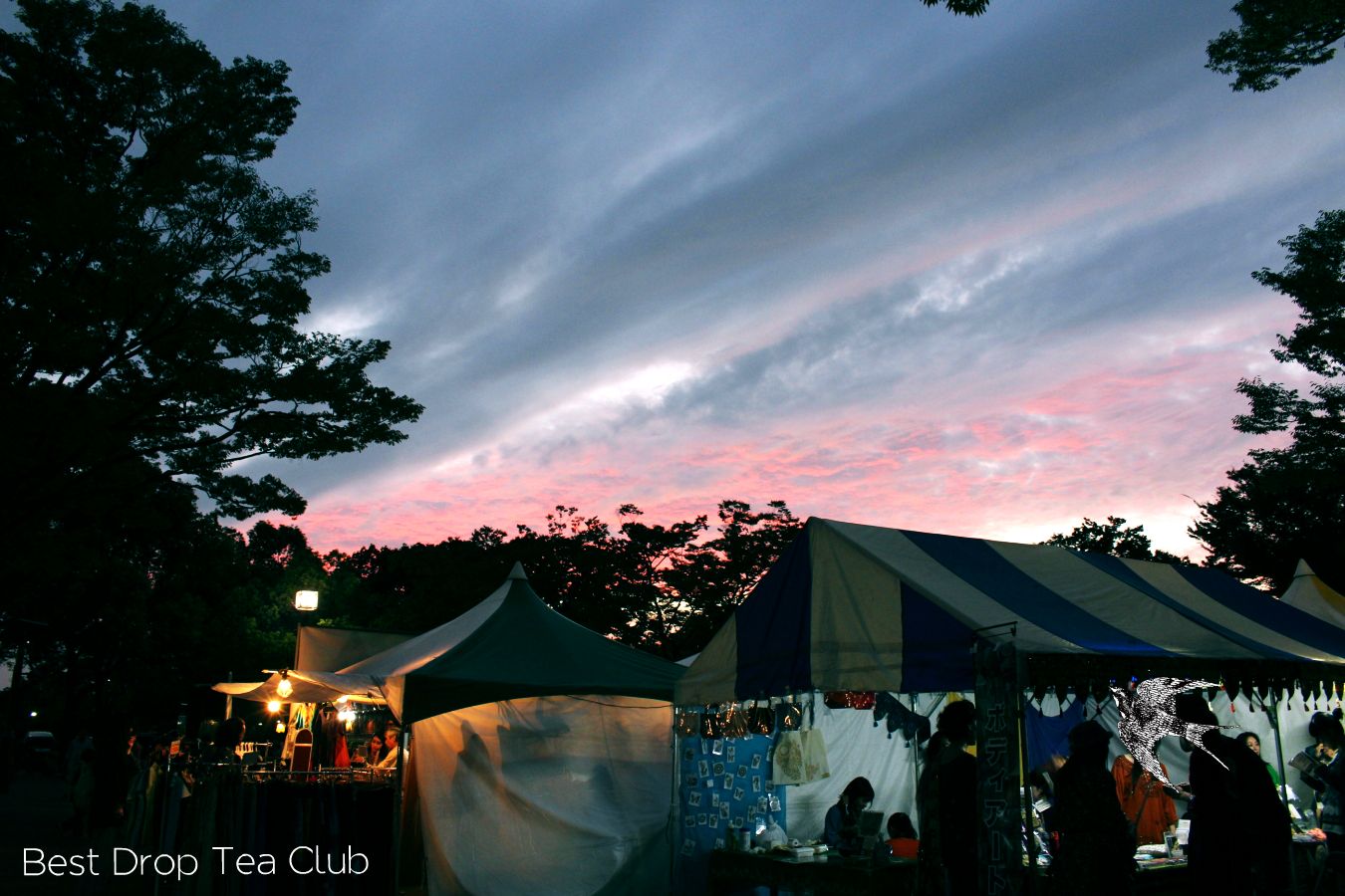 b0263744_08100559.jpg