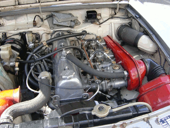 a0026445_188122.gif