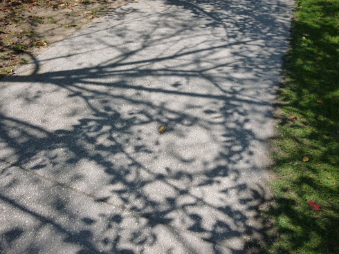 e0002850_13565818.jpg