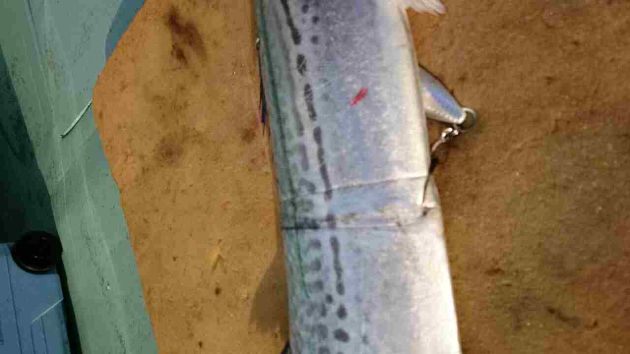 a0248152_17404462.jpg