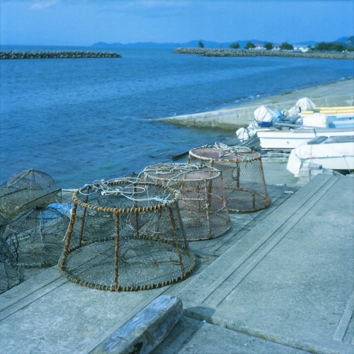 d0169755_18332235.jpg