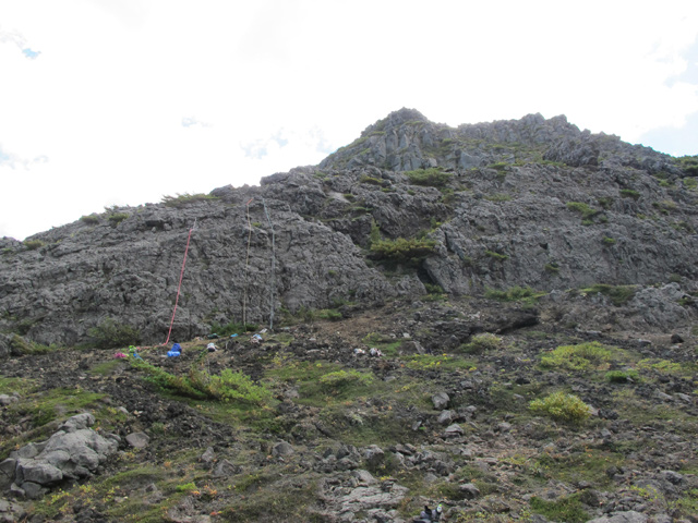 c0116856_199235.jpg