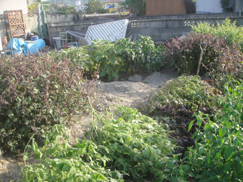 c0108460_19560875.jpg