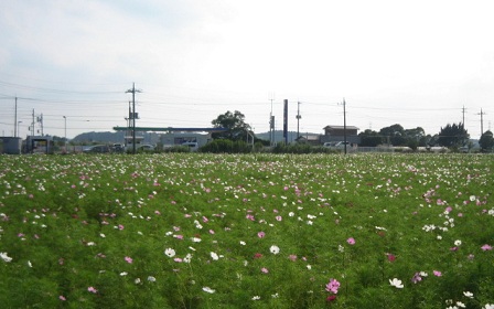 e0271461_08583903.jpg