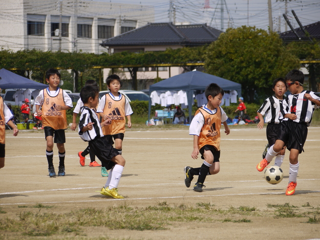 c0185364_164553.jpg
