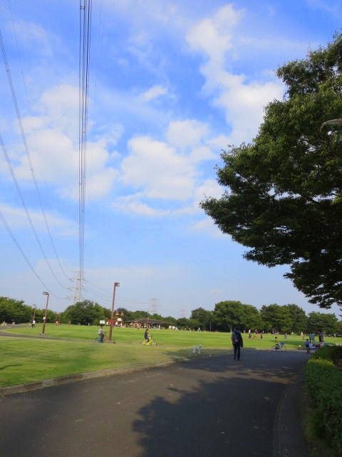d0264176_19511786.jpg