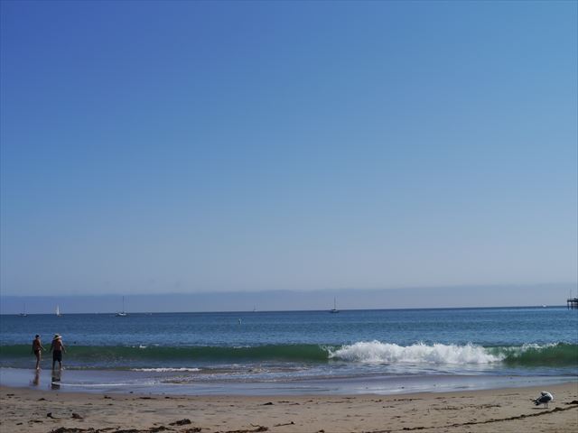 f0167281_17154530.jpg