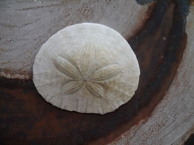 f0167281_17252547.jpg