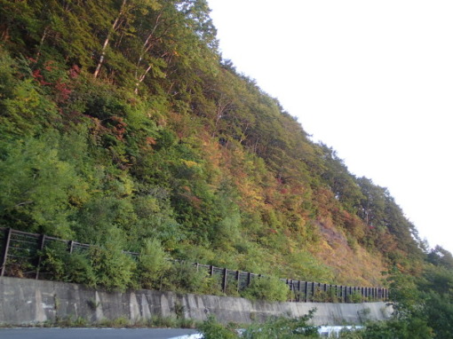 a0279883_10433175.jpg