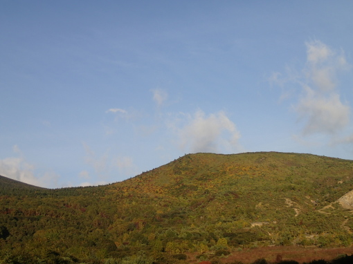 a0279883_10470945.jpg