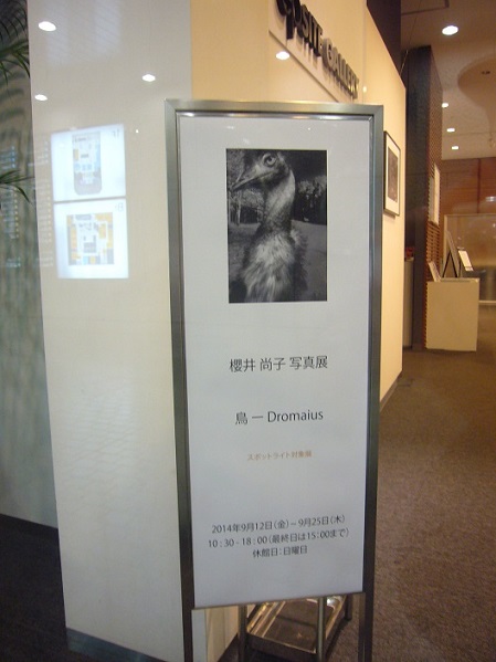 a0141884_18524877.jpg