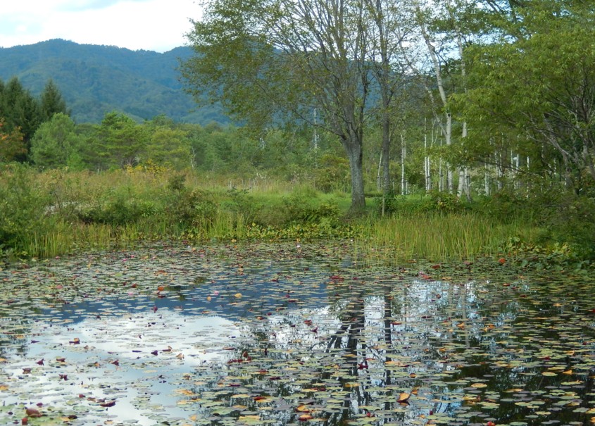 c0144185_15352015.jpg