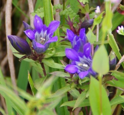 c0144185_16134834.jpg