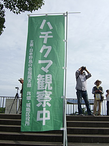 e0086885_13532666.jpg