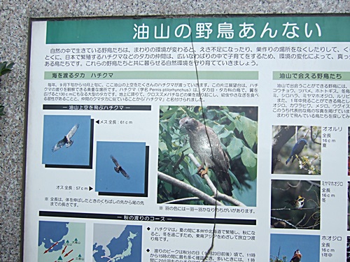 e0086885_1443257.jpg