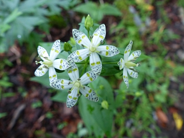 f0357487_014777.jpg