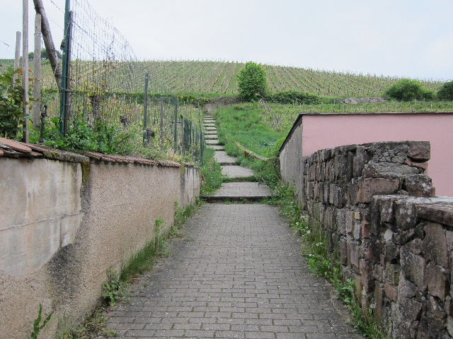 e0047488_13555490.jpg