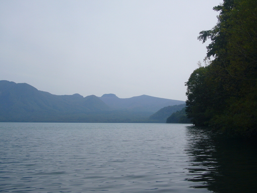 a0118989_2315376.jpg