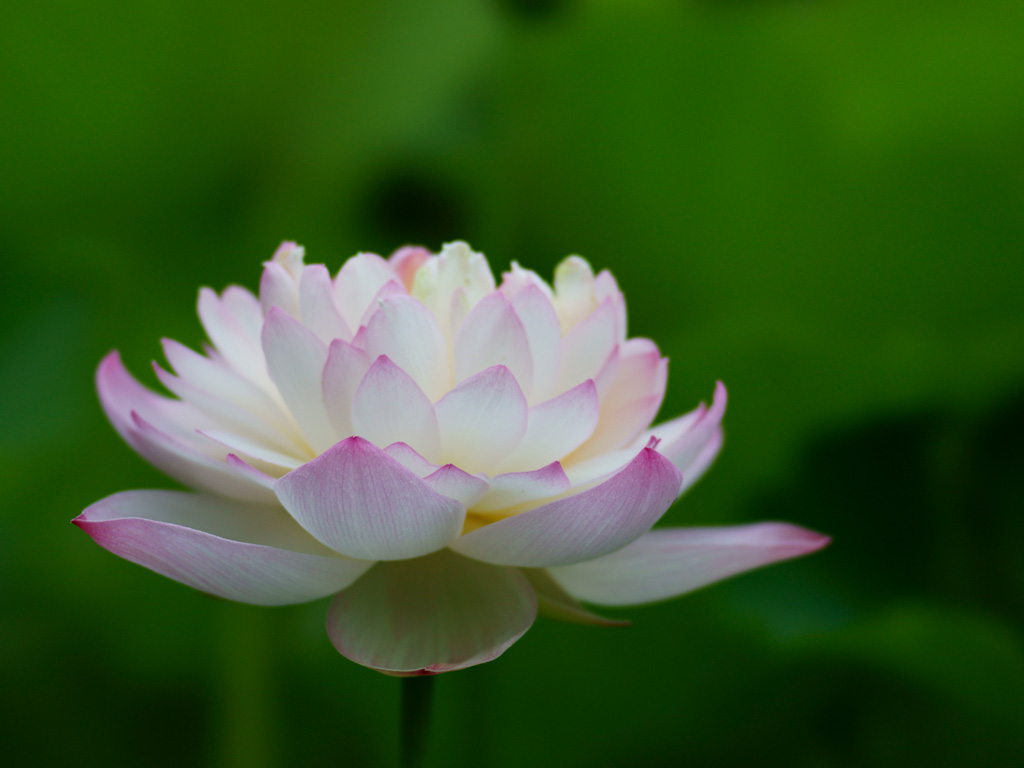 f0201297_23101316.jpg