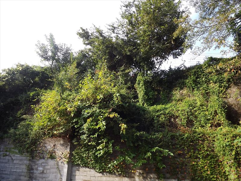 c0108198_17274732.jpg