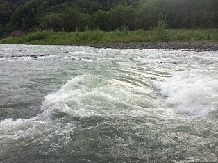 f0164003_1531104.jpg